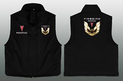 PONTIAC FIREBIRD WESTE