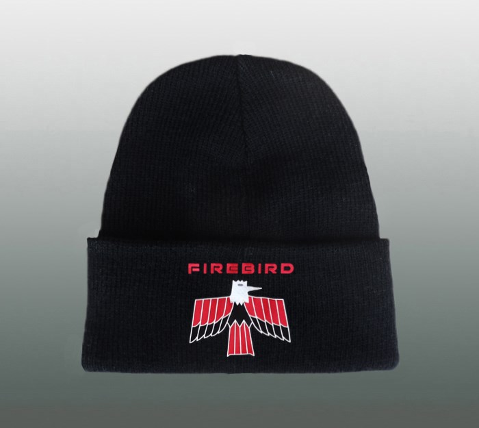 PONTIAC FIREBIRD BEANIE Mütze